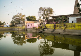 Girdhar Morari
