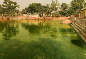 Girdhar Morari